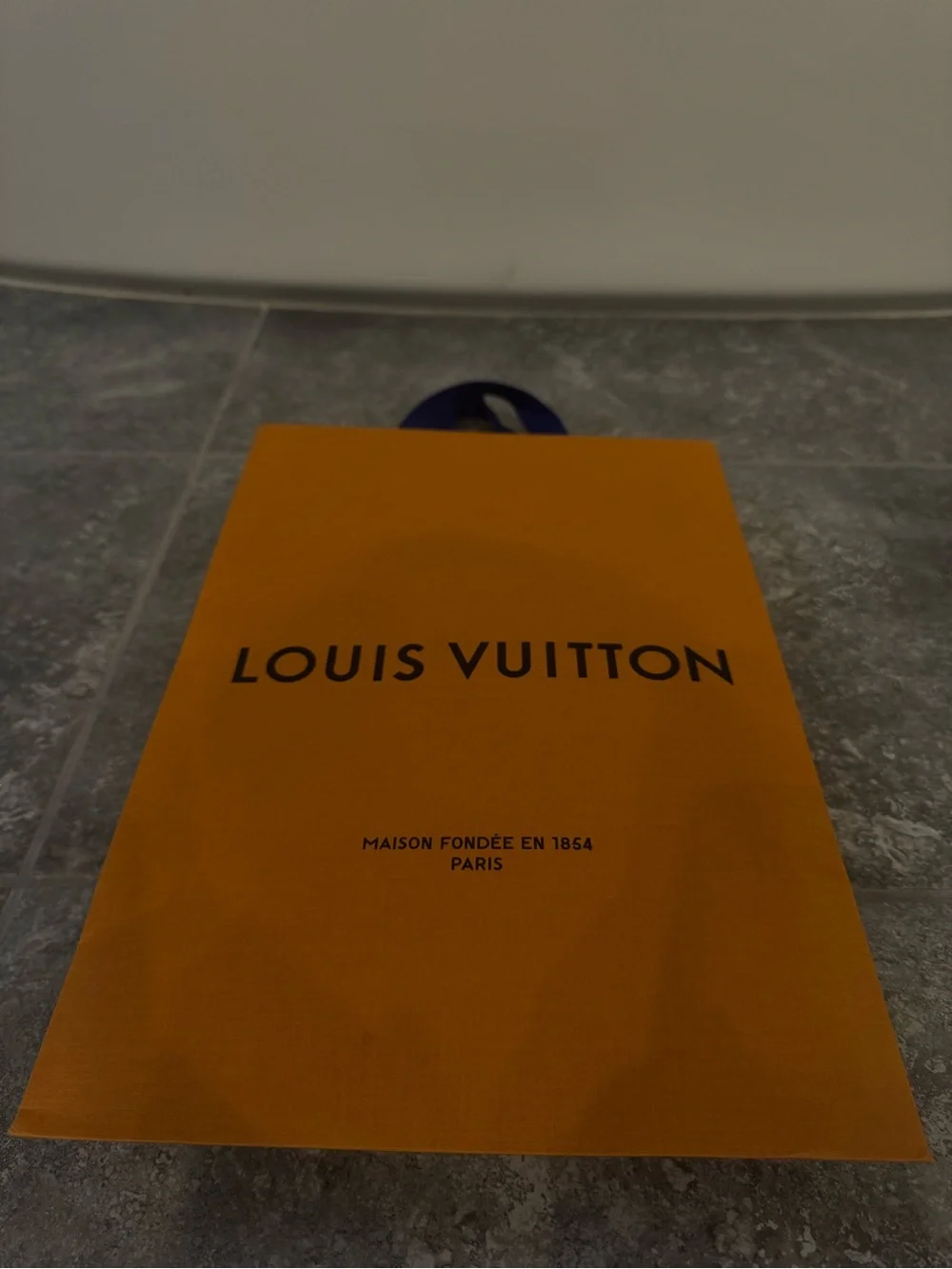 Louis Vuitton authentic louis